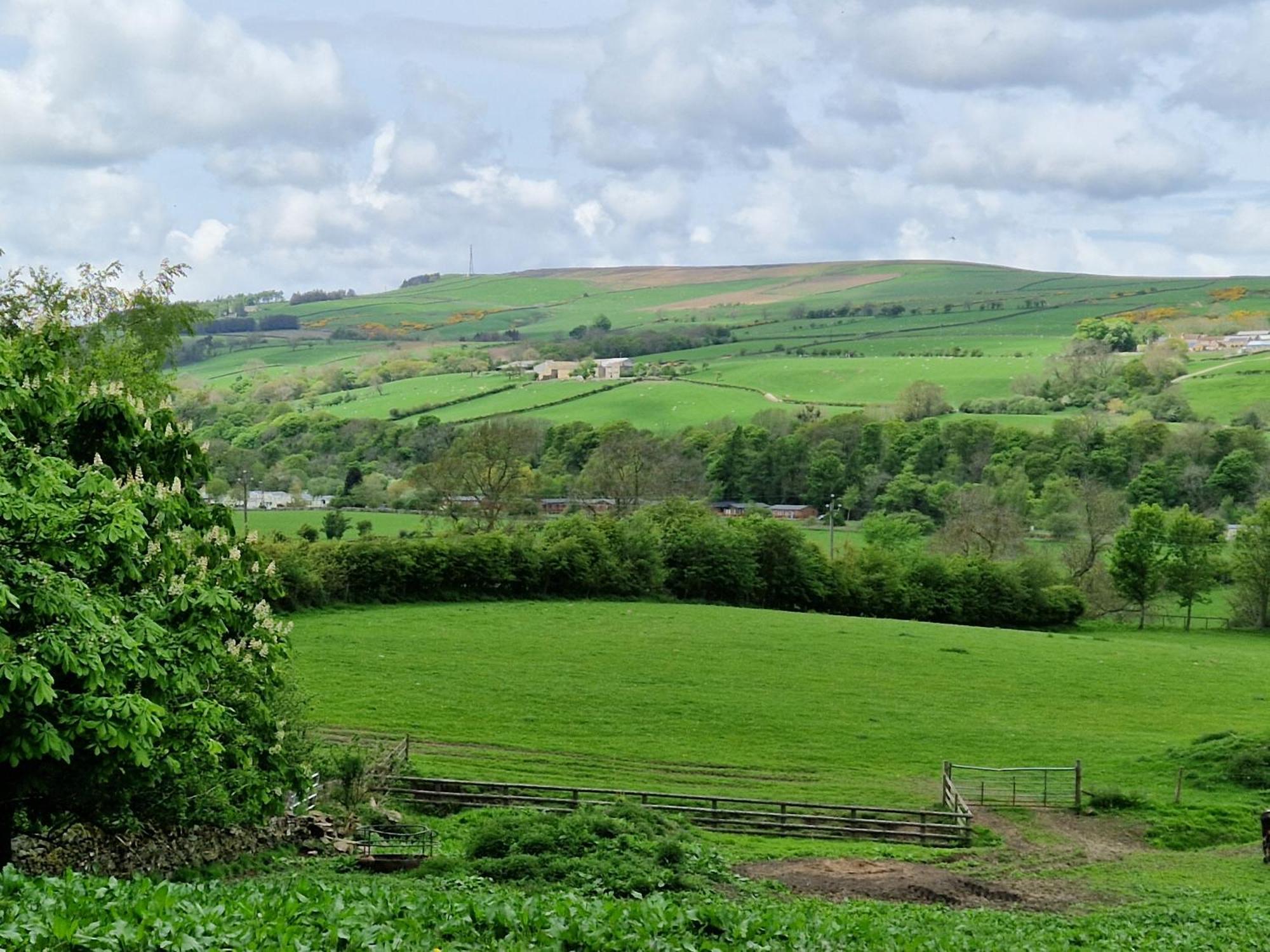 The Den, Coves House Villa Wolsingham Buitenkant foto