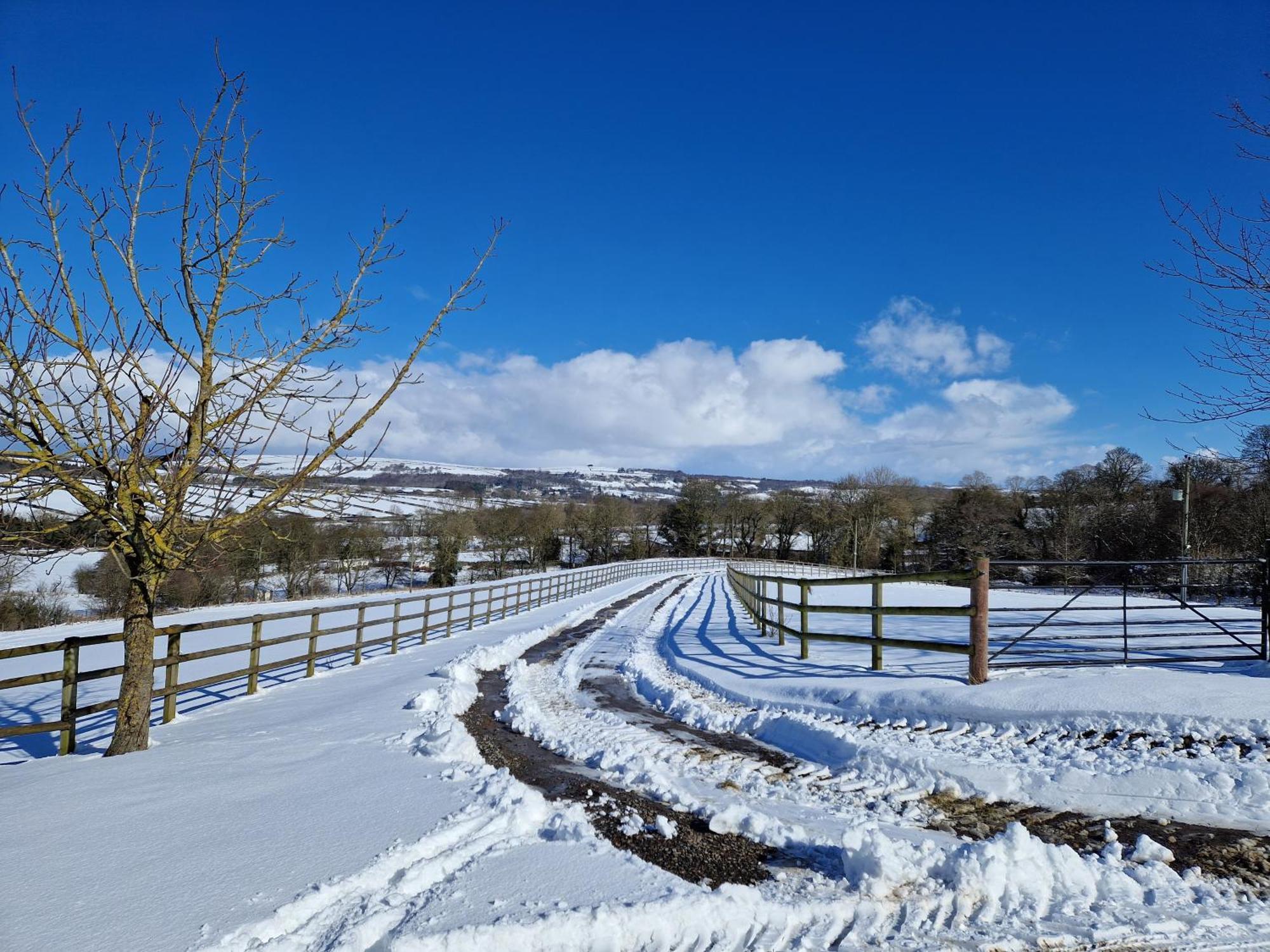 The Den, Coves House Villa Wolsingham Buitenkant foto